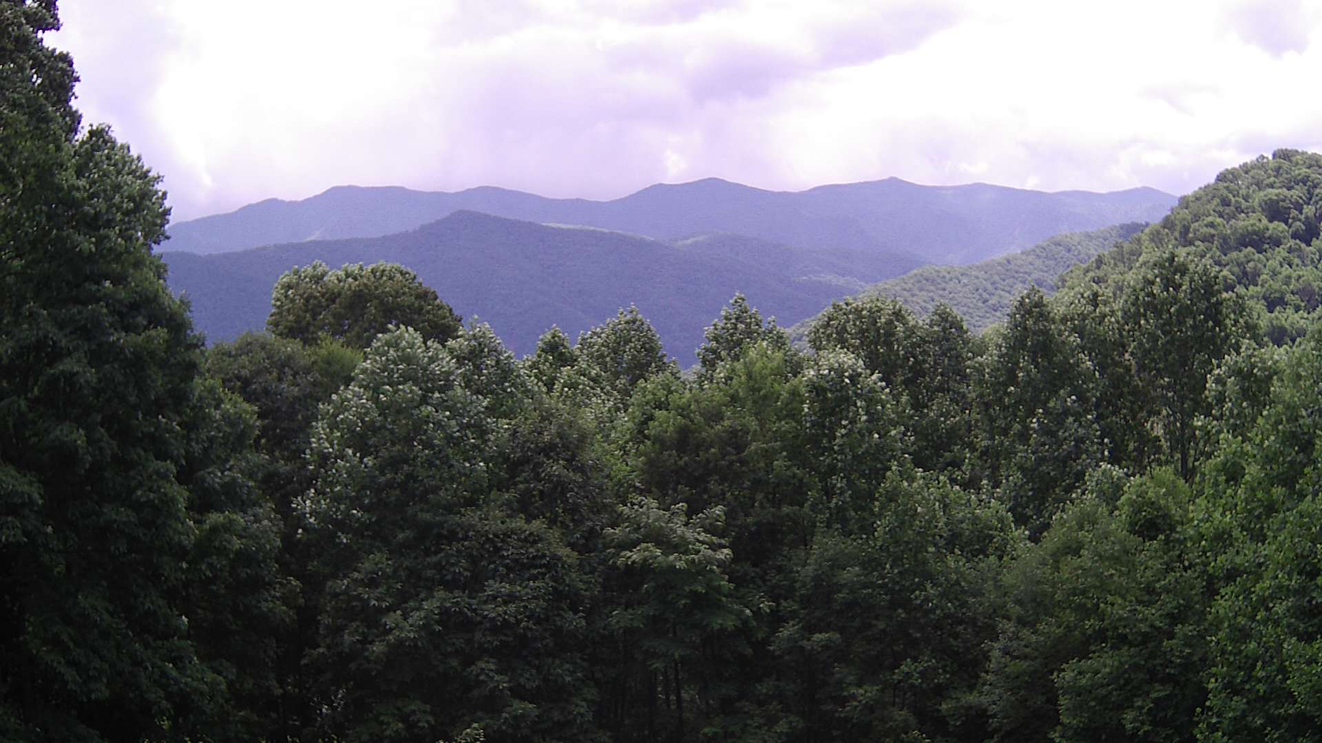 click for next image... slideshow image