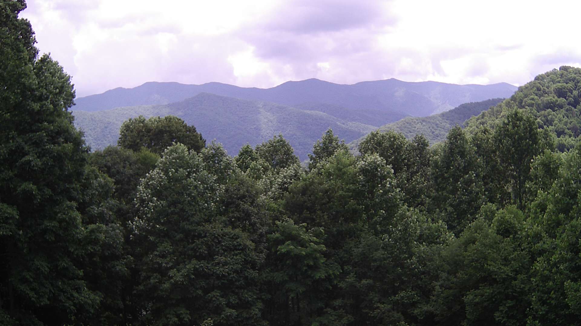 click for next image... slideshow image