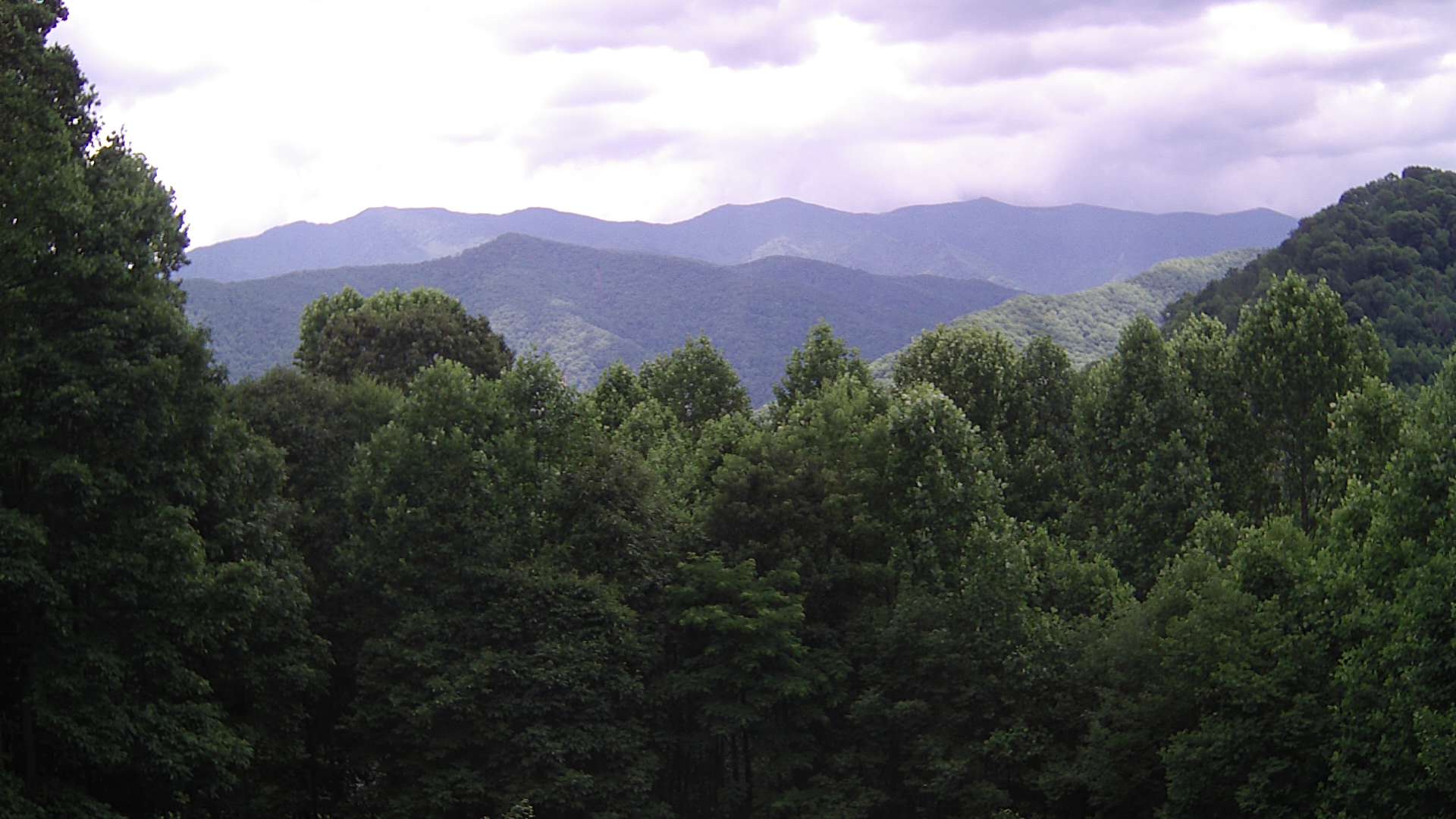 click for next image... slideshow image