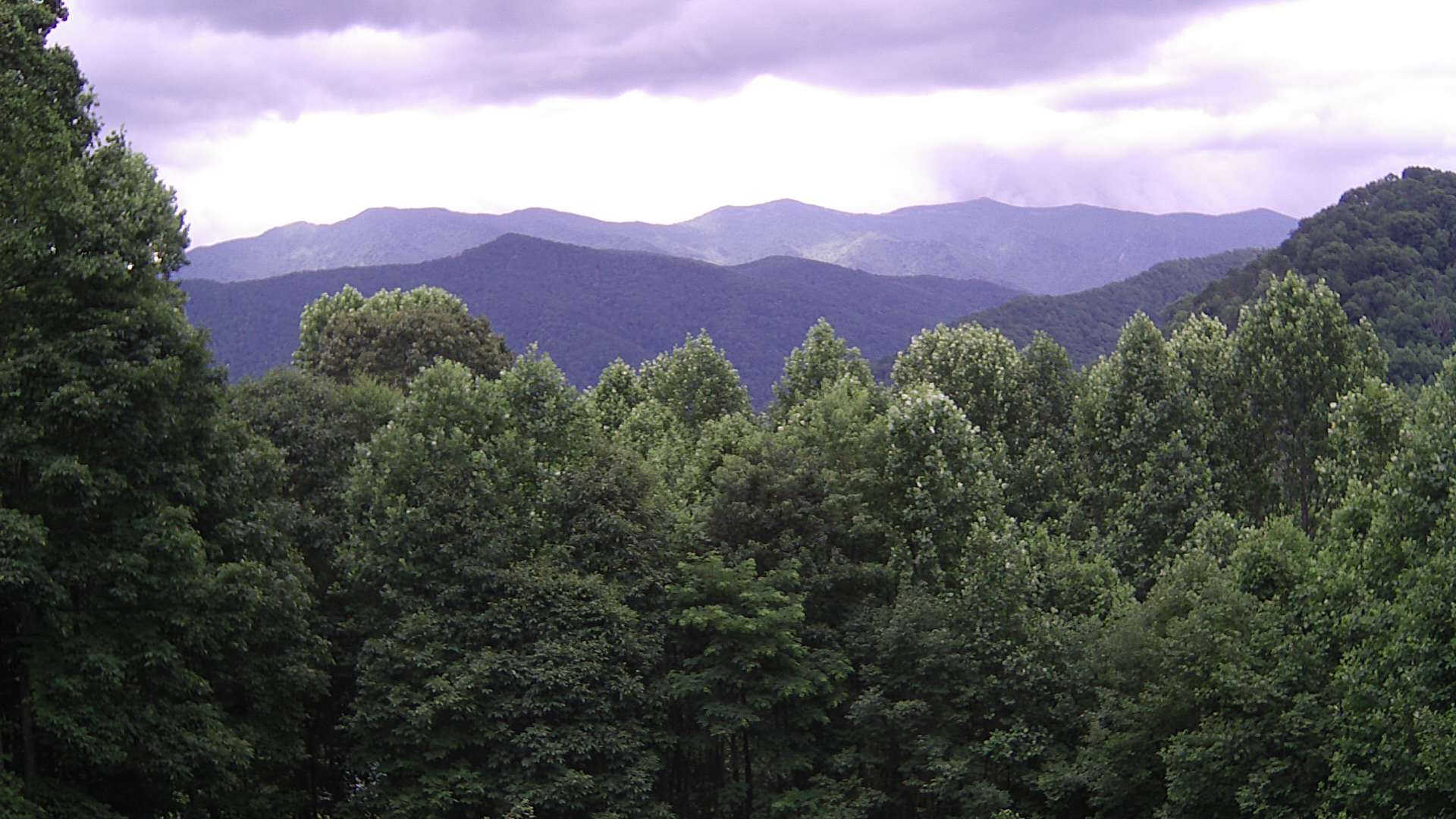 click for next image... slideshow image