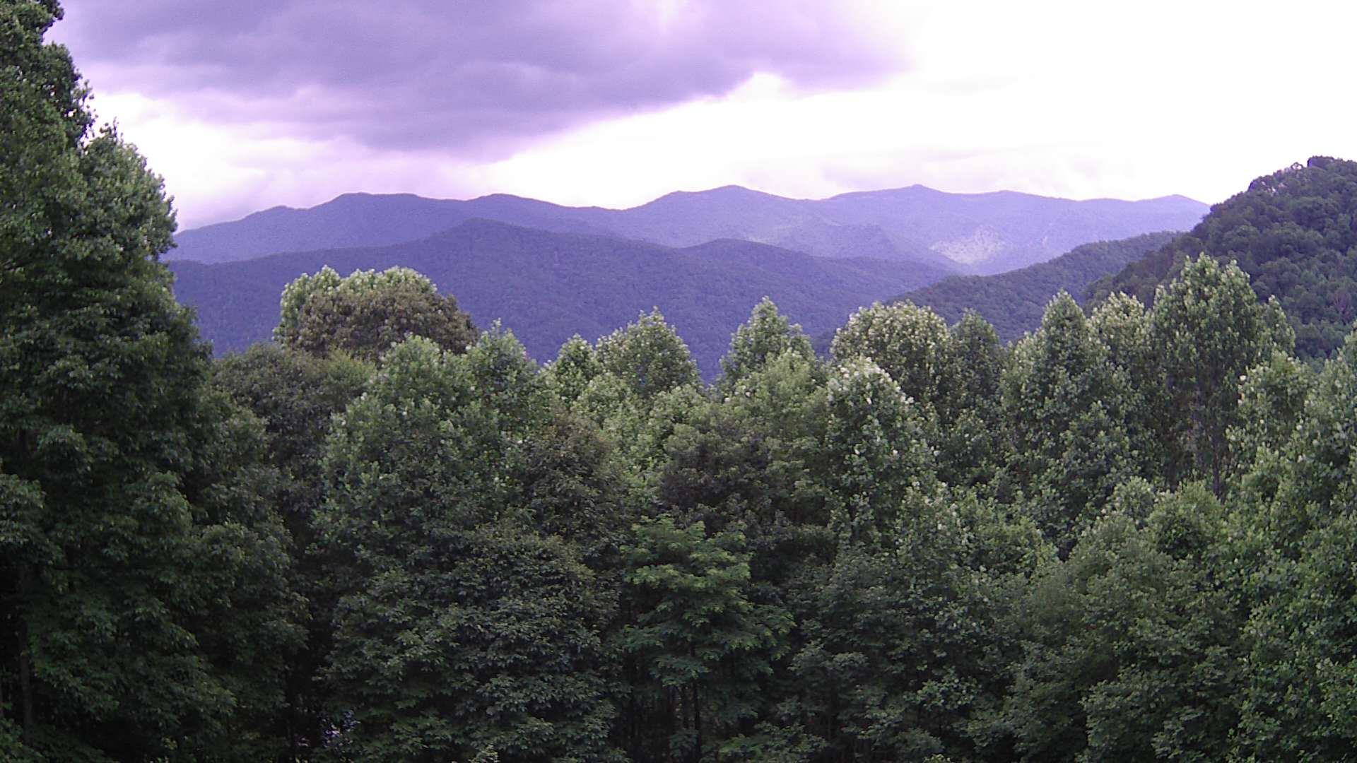 click for next image... slideshow image