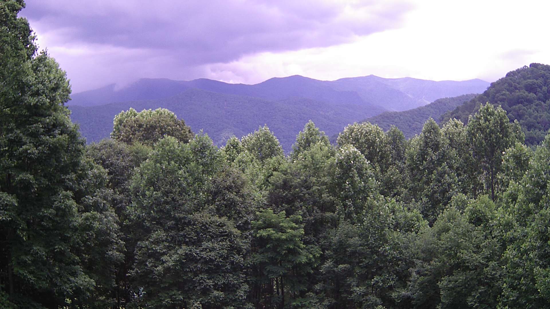 click for next image... slideshow image