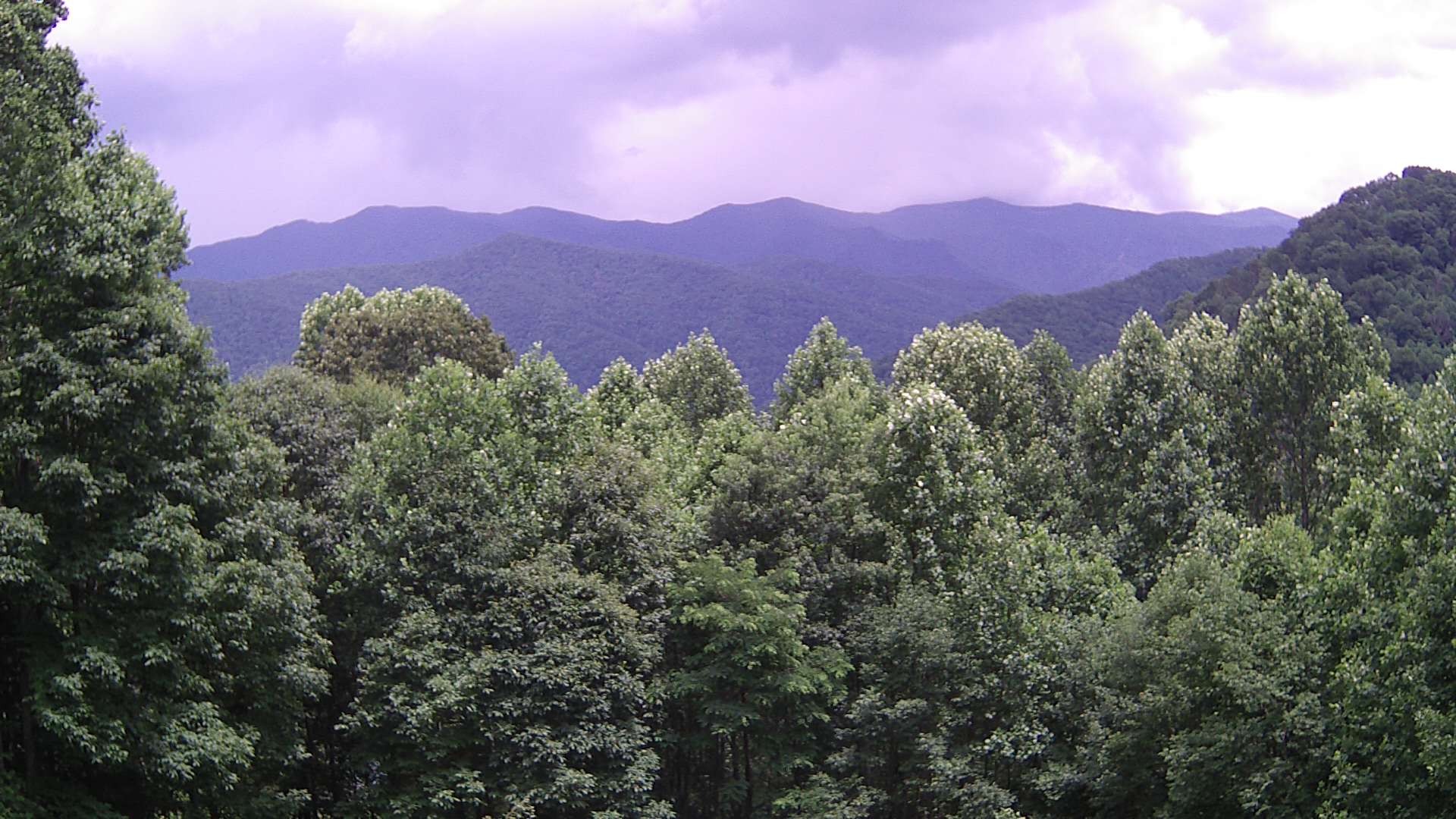 click for next image... slideshow image