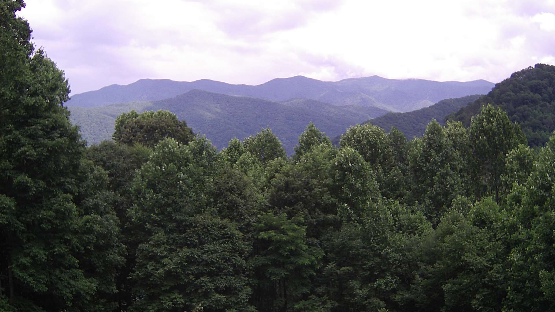 click for next image... slideshow image