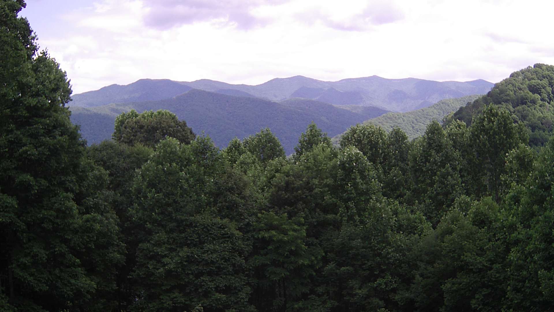 click for next image... slideshow image