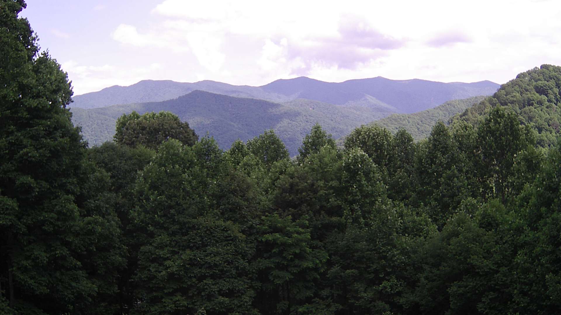 click for next image... slideshow image