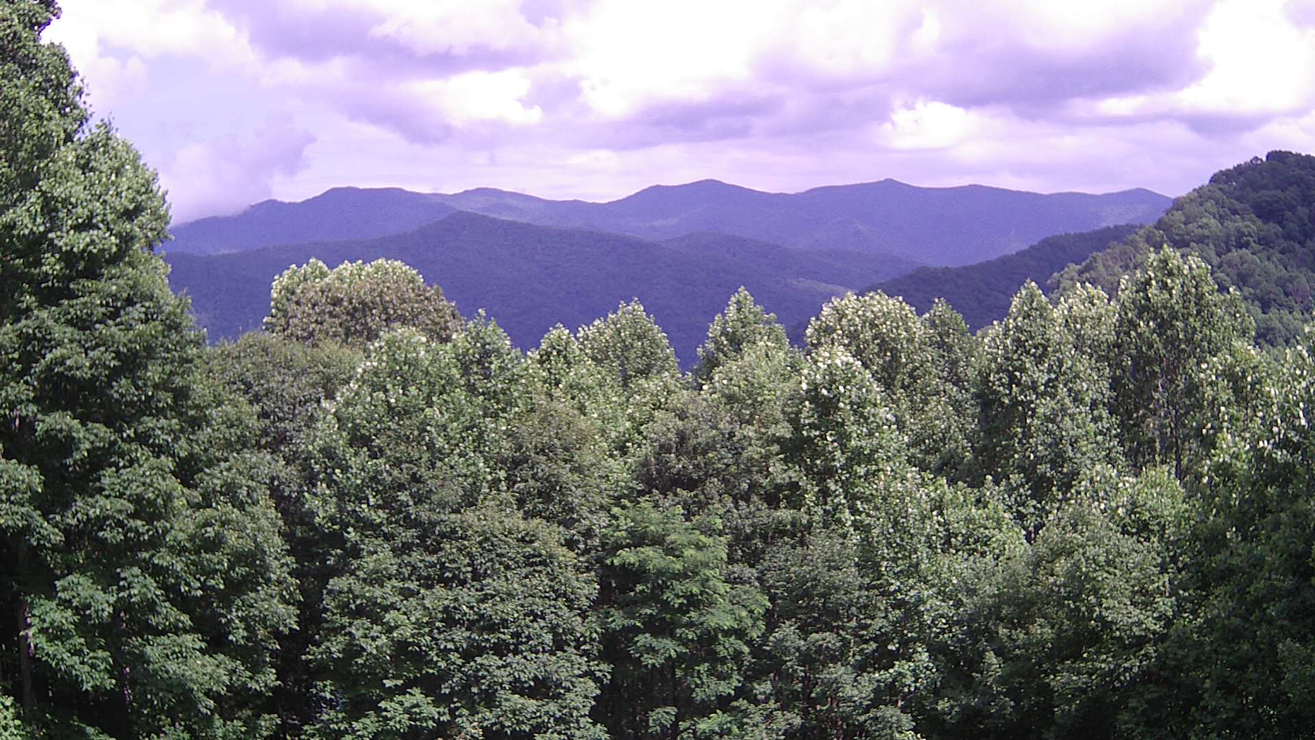 click for next image... slideshow image