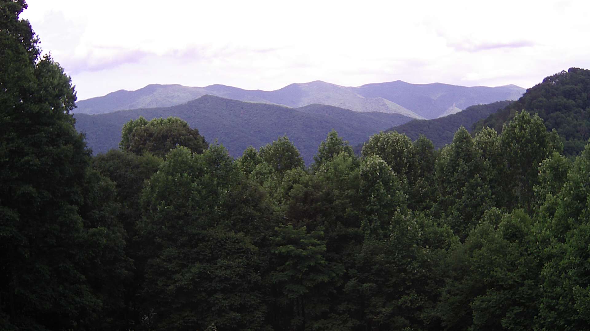 click for next image... slideshow image