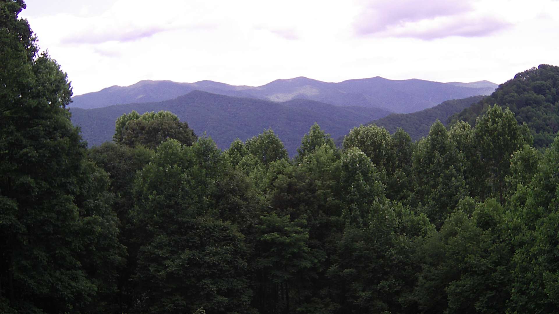 click for next image... slideshow image