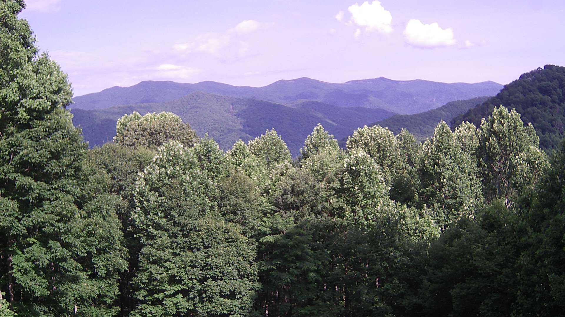 click for next image... slideshow image