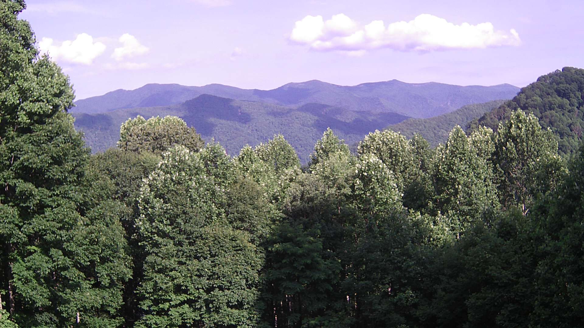 click for next image... slideshow image