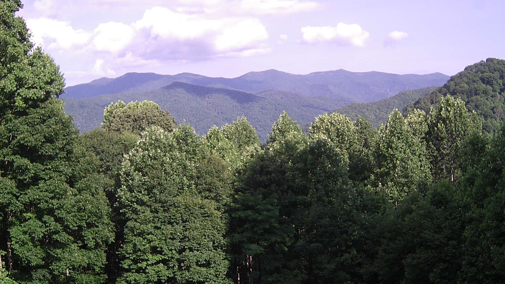 click for next image... slideshow image