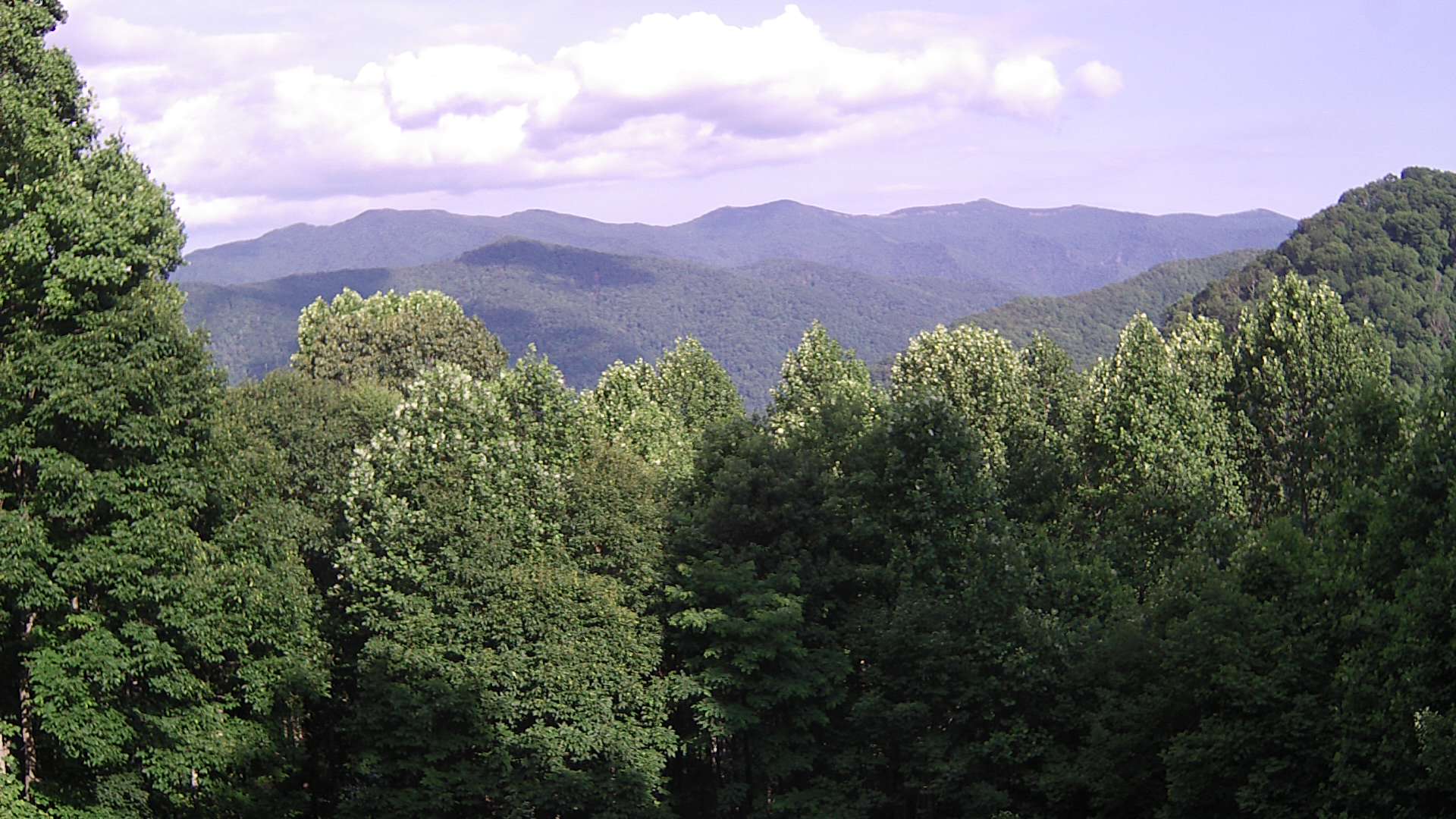 click for next image... slideshow image