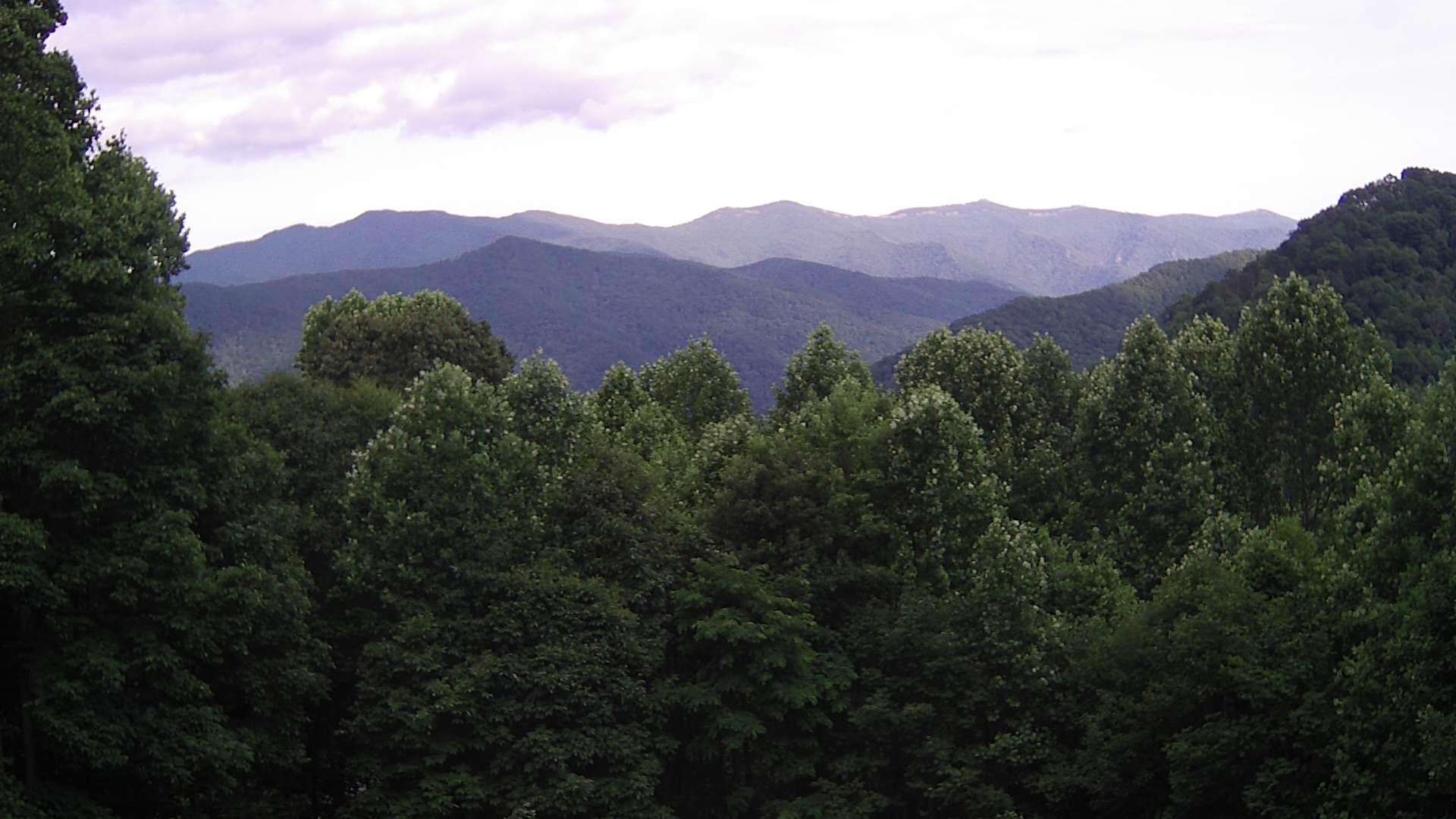 click for next image... slideshow image