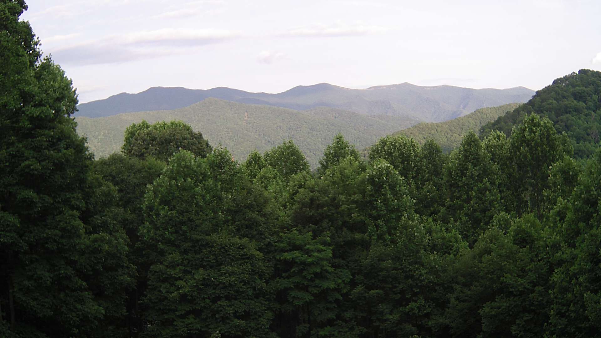 click for next image... slideshow image