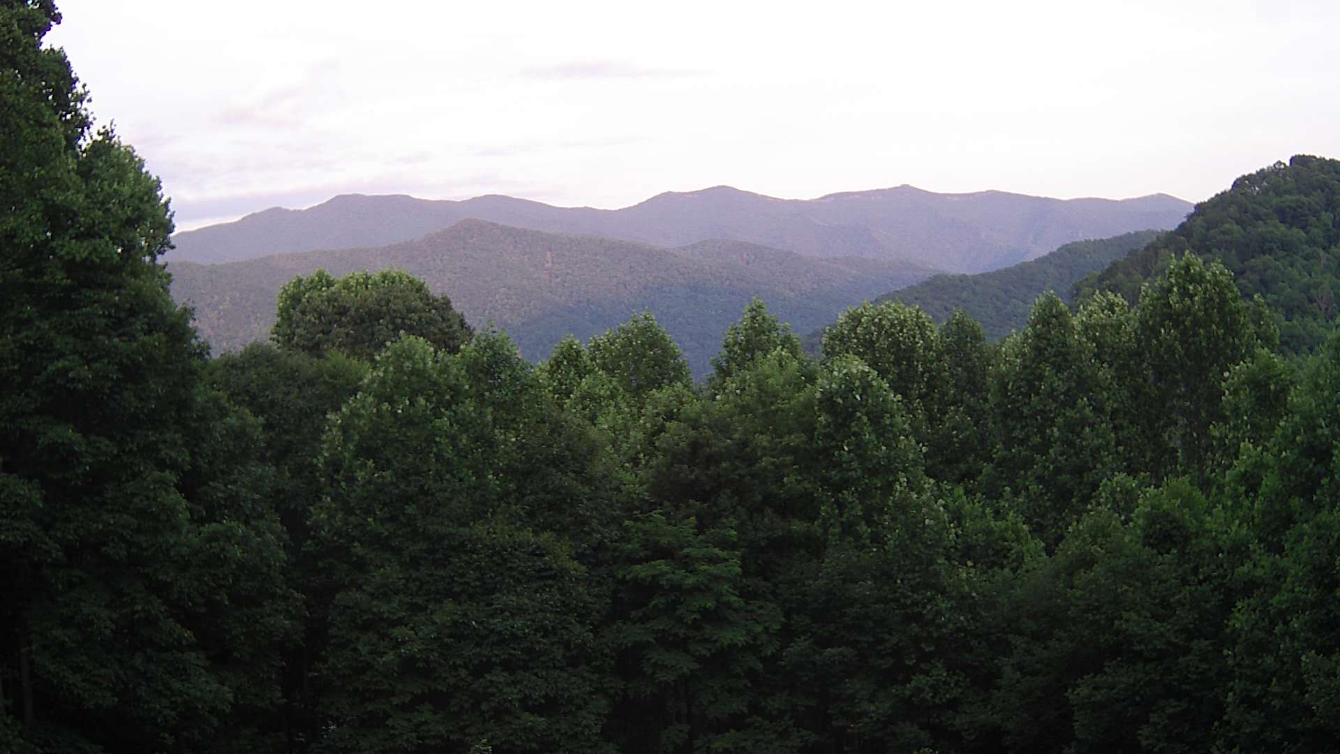 click for next image... slideshow image