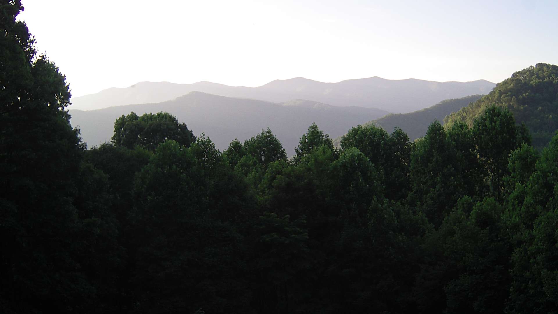 click for next image... slideshow image