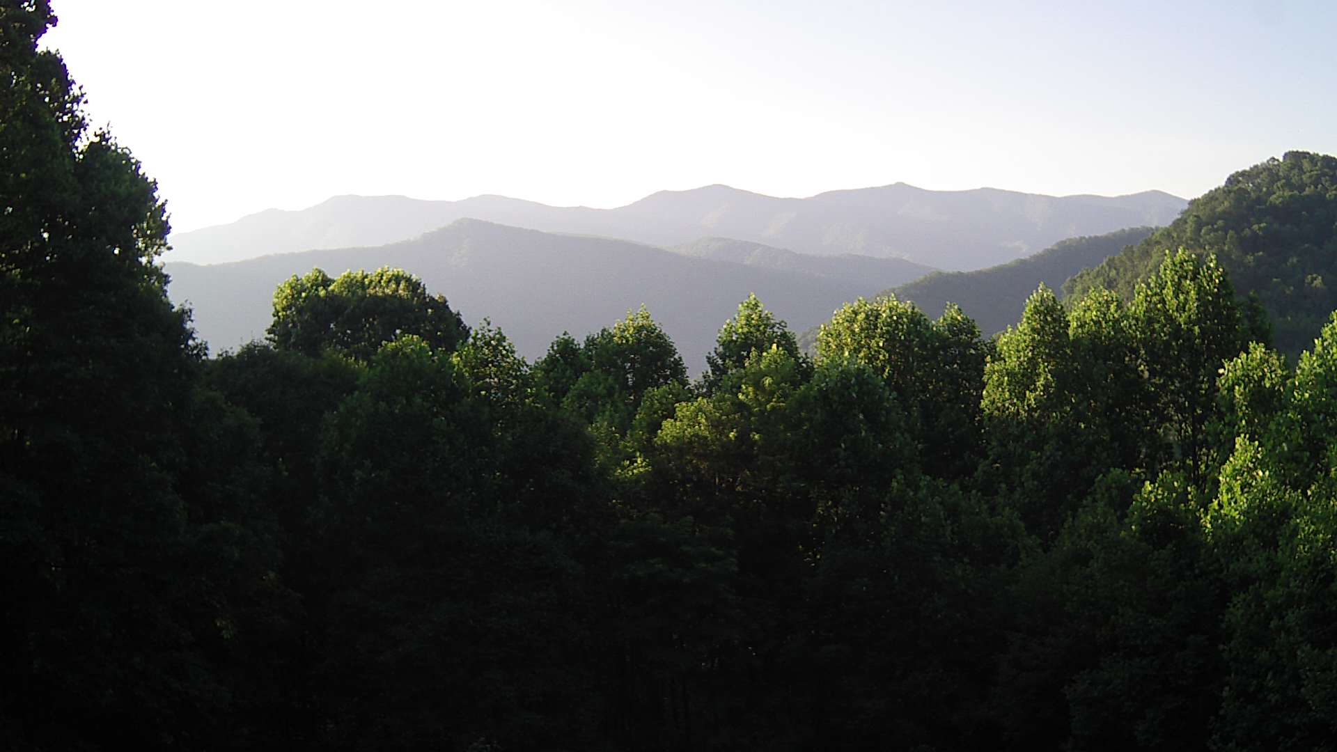 click for next image... slideshow image