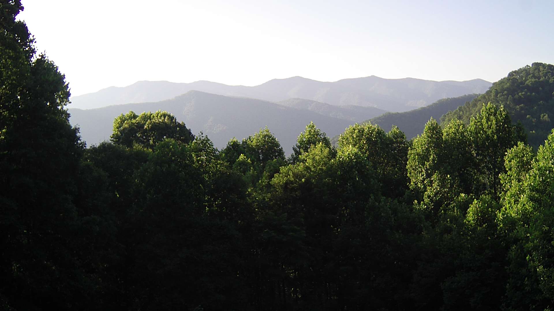 click for next image... slideshow image