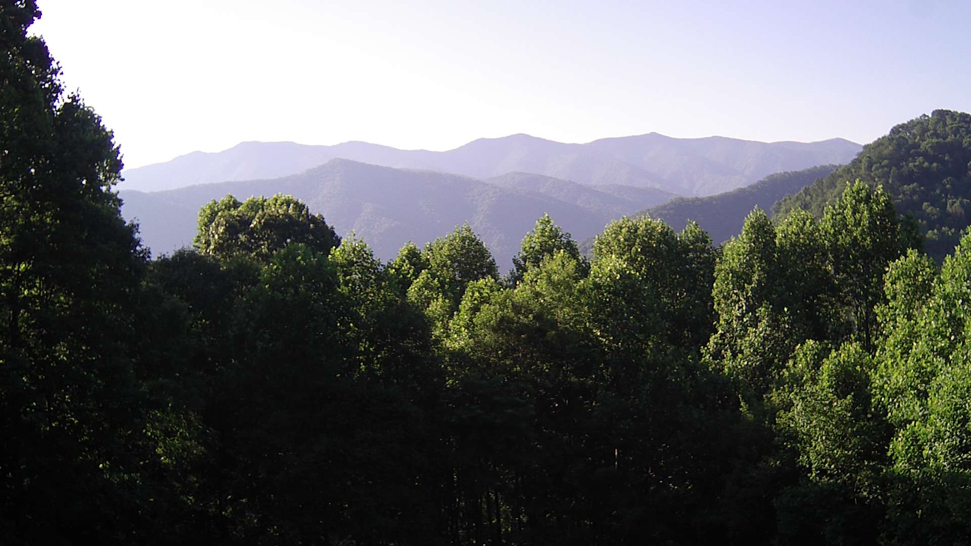 click for next image... slideshow image