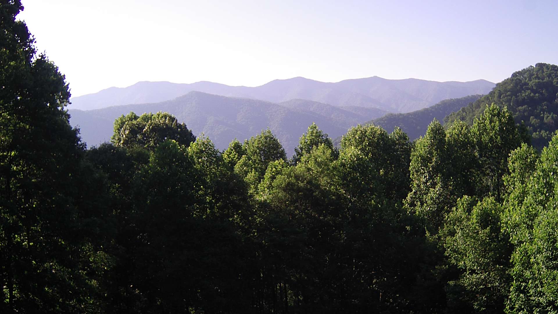 click for next image... slideshow image