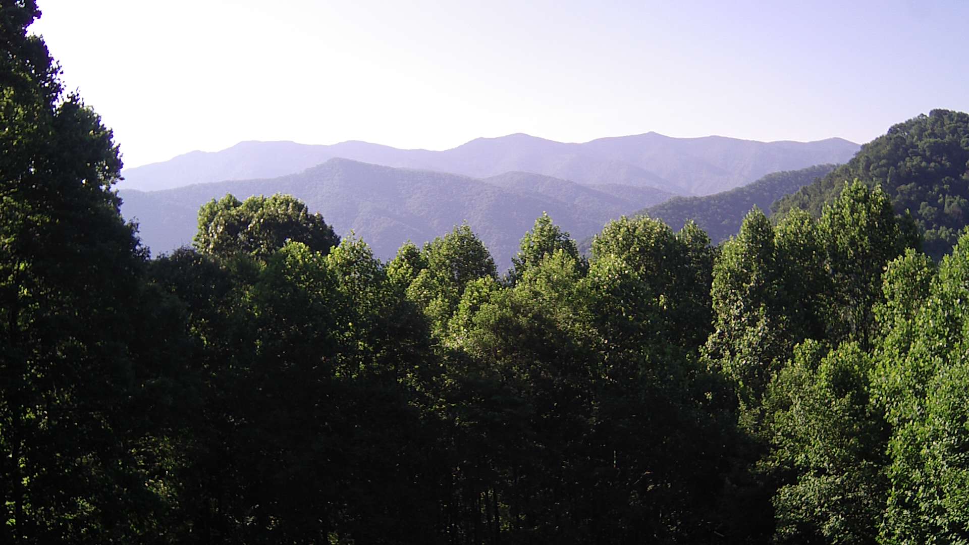 click for next image... slideshow image