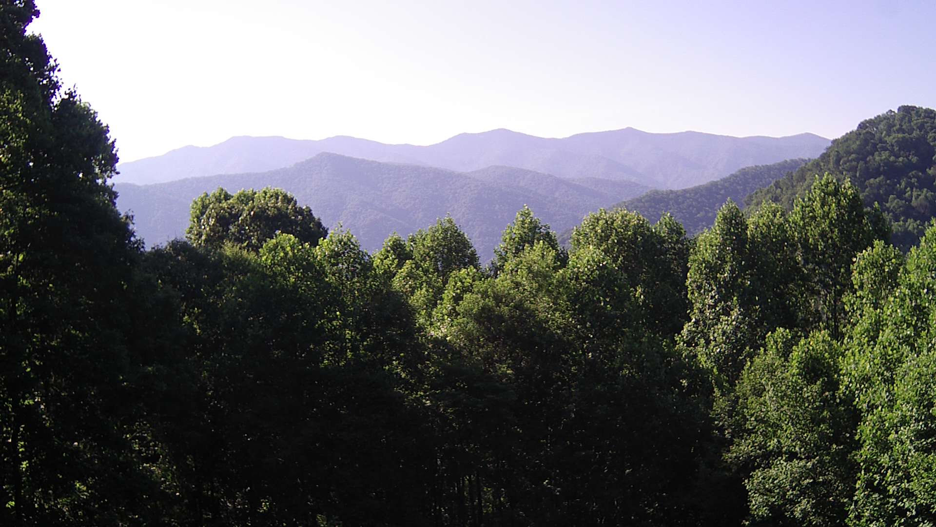 click for next image... slideshow image