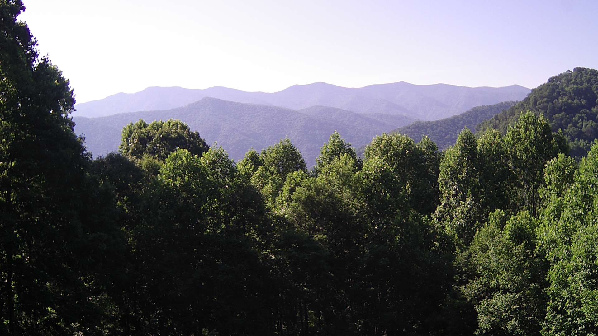 click for next image... slideshow image