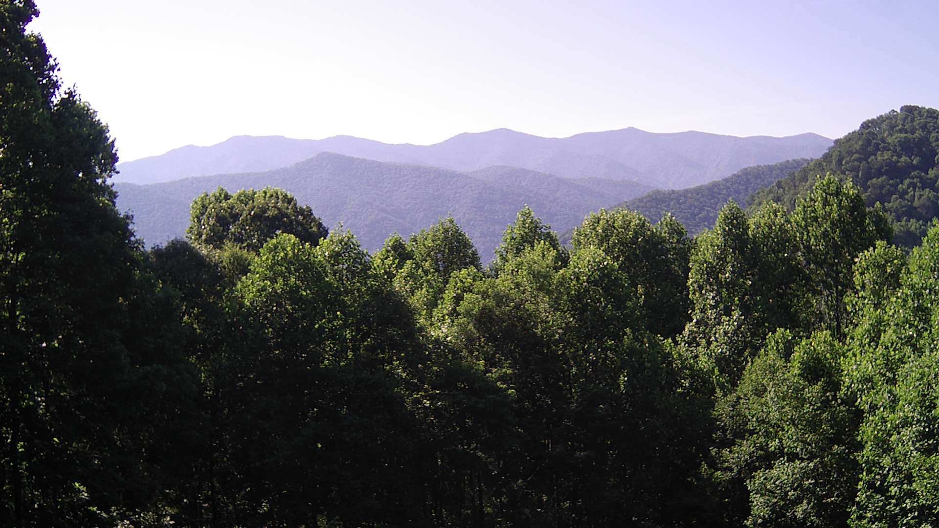 click for next image... slideshow image