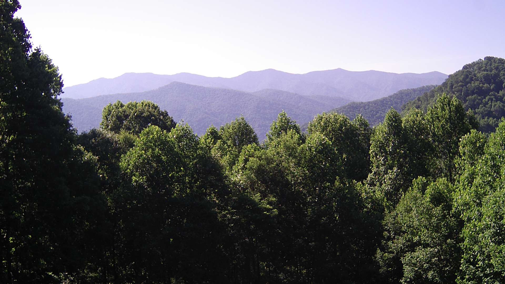 click for next image... slideshow image