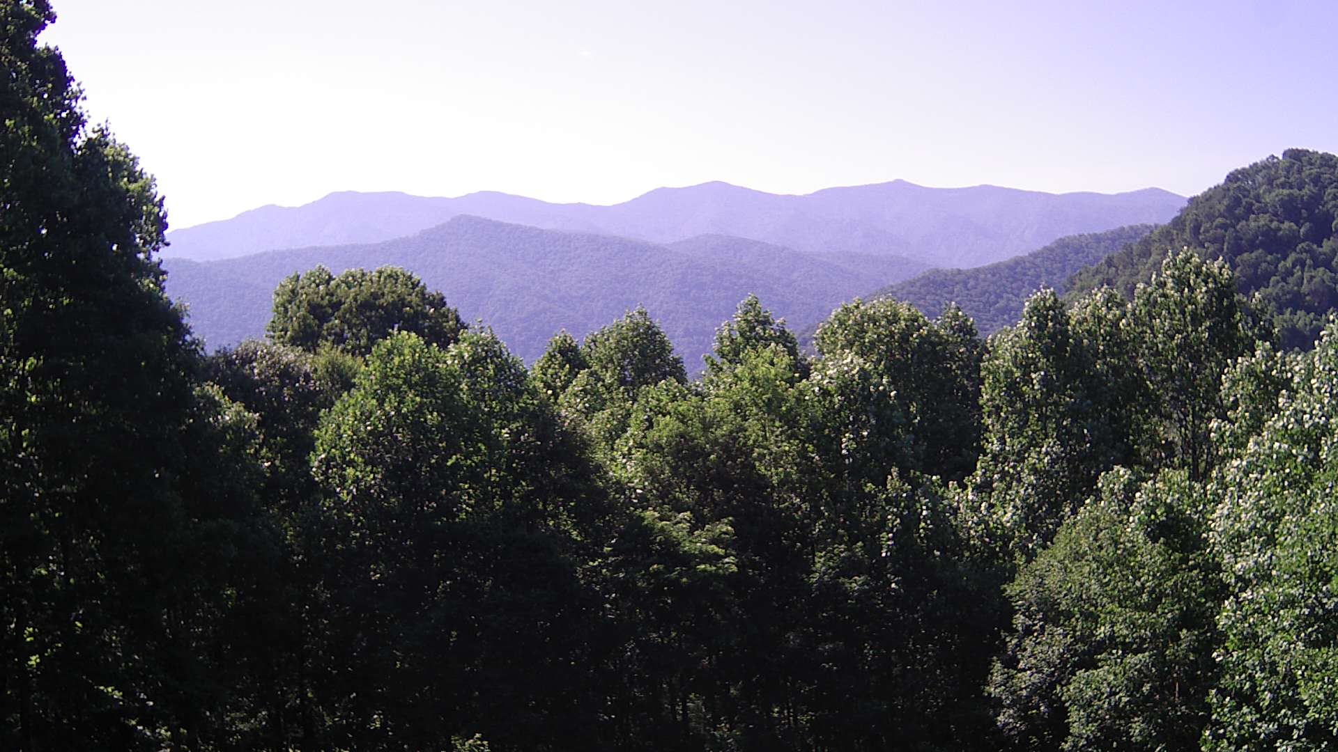 click for next image... slideshow image