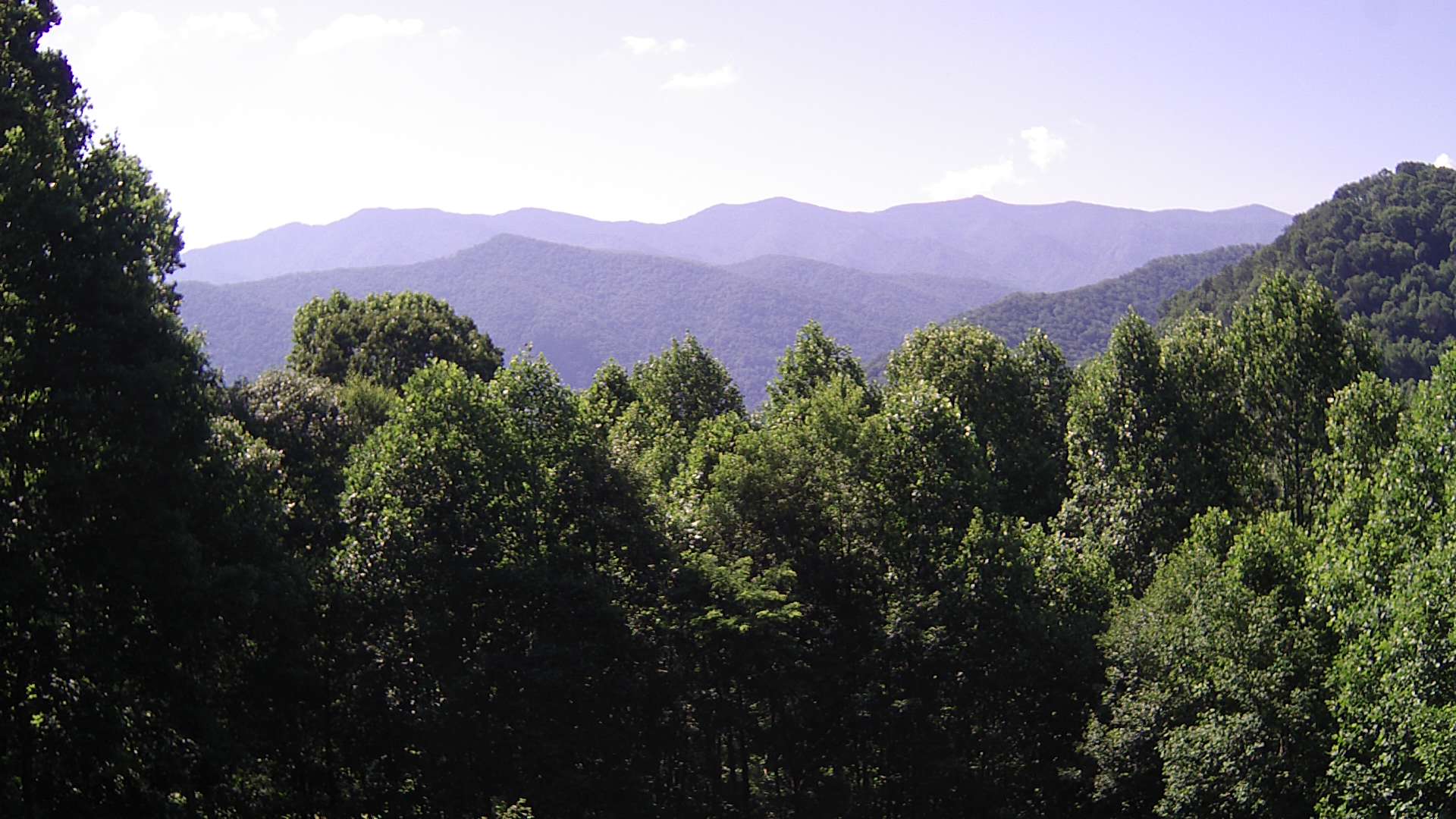 click for next image... slideshow image