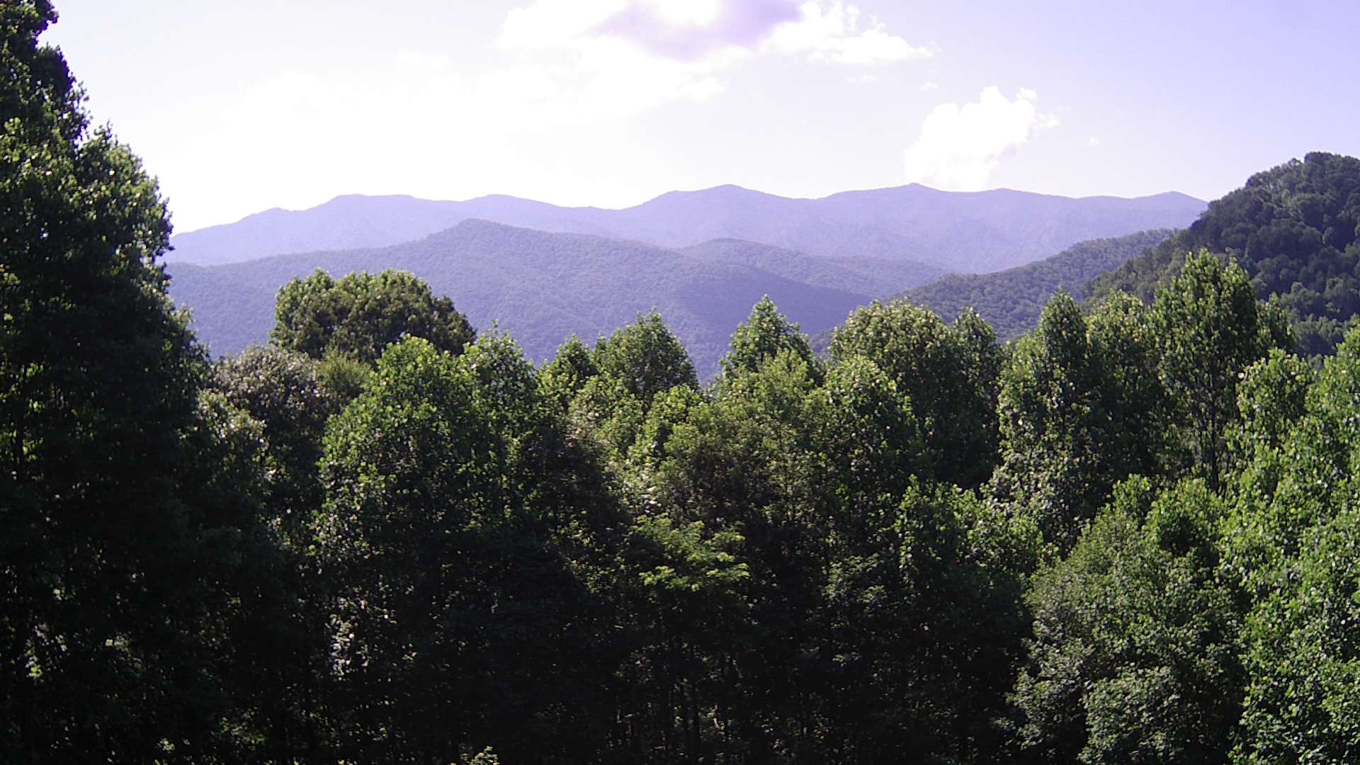 click for next image... slideshow image