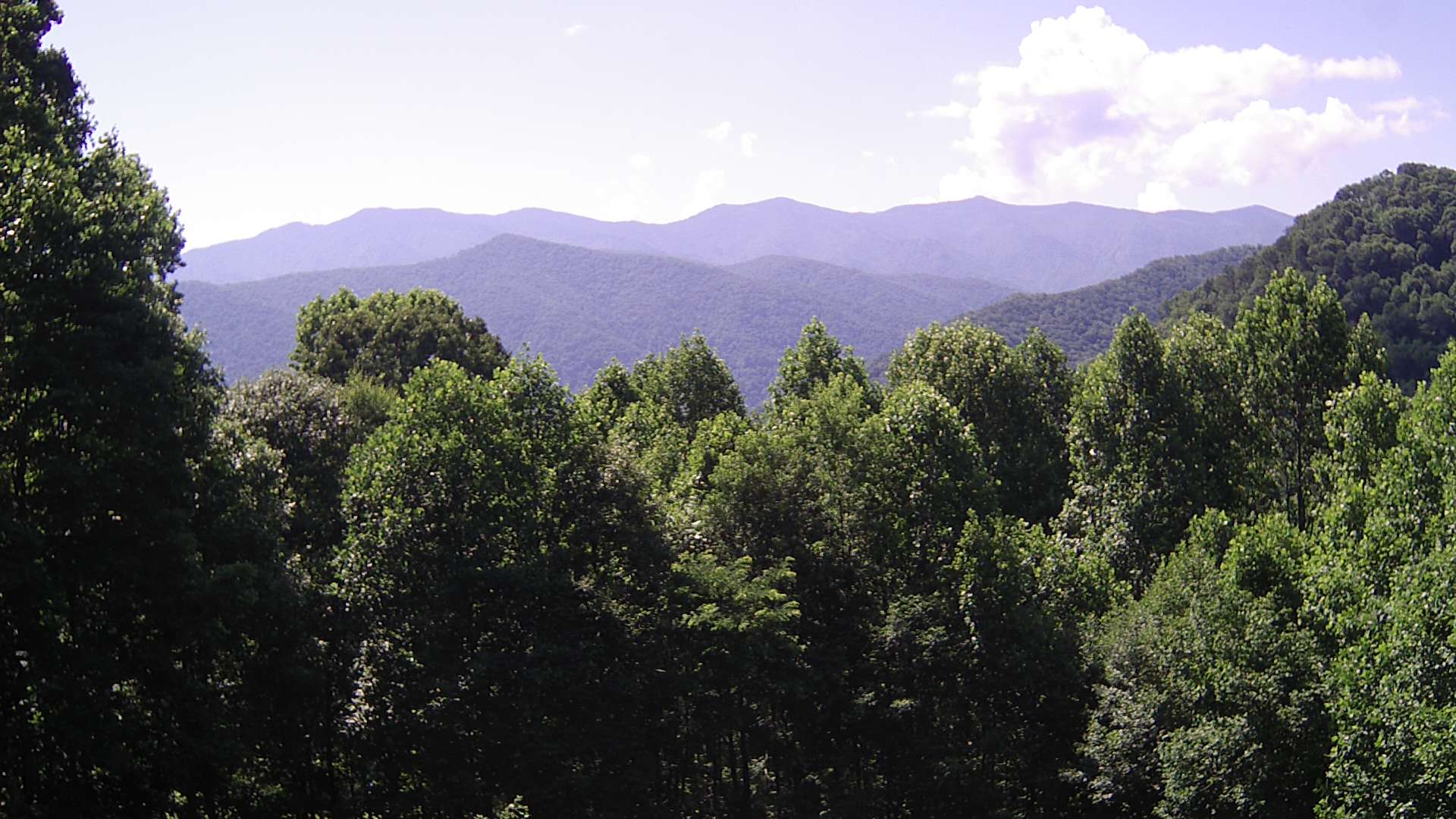 click for next image... slideshow image