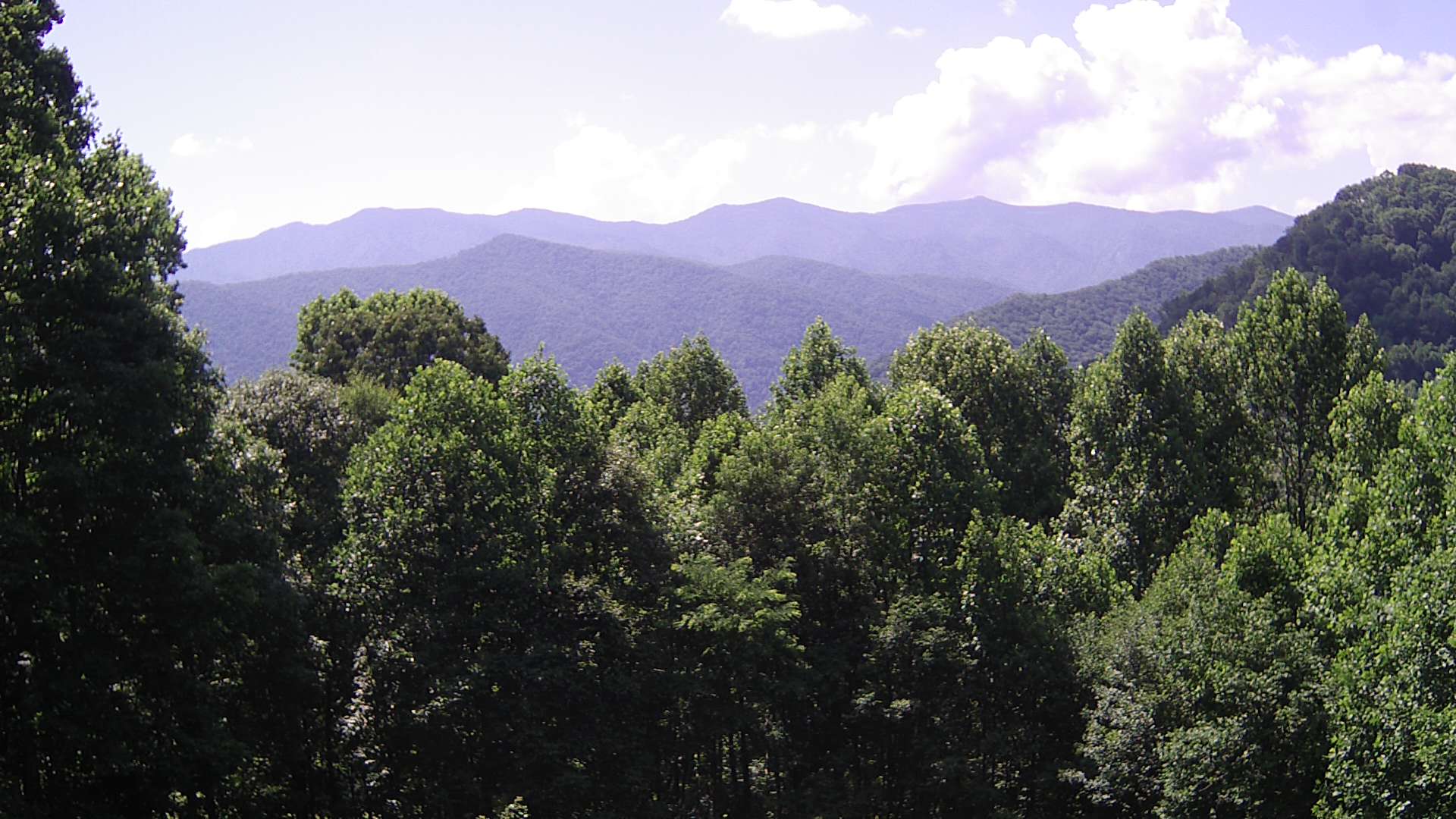 click for next image... slideshow image