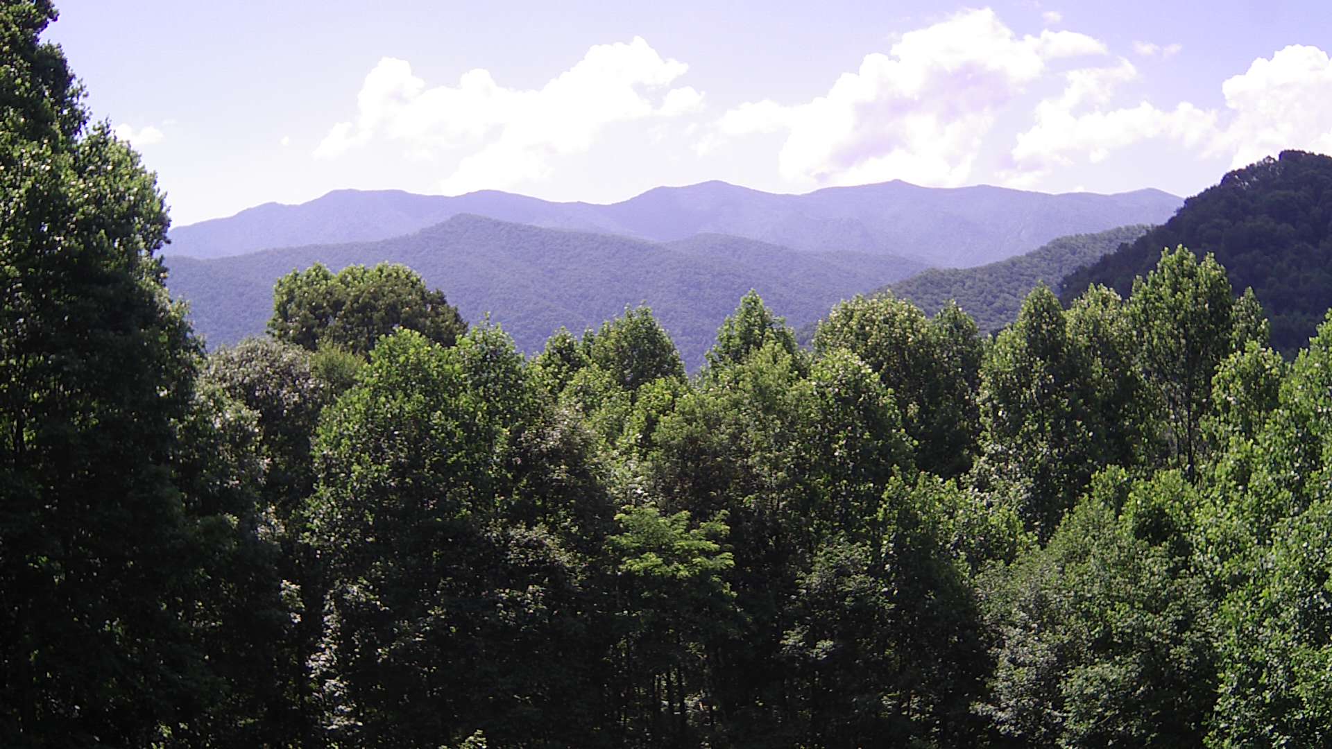 click for next image... slideshow image