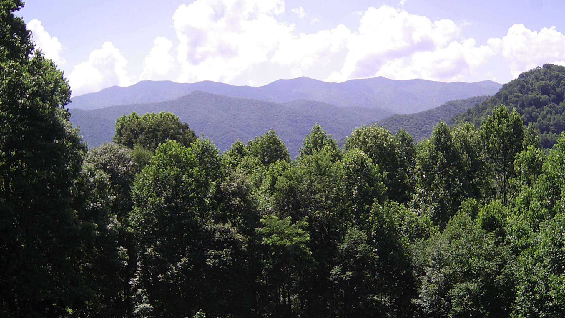 click for next image... slideshow image