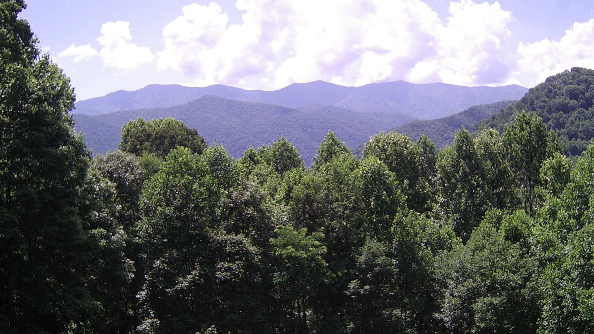 click for next image... slideshow image