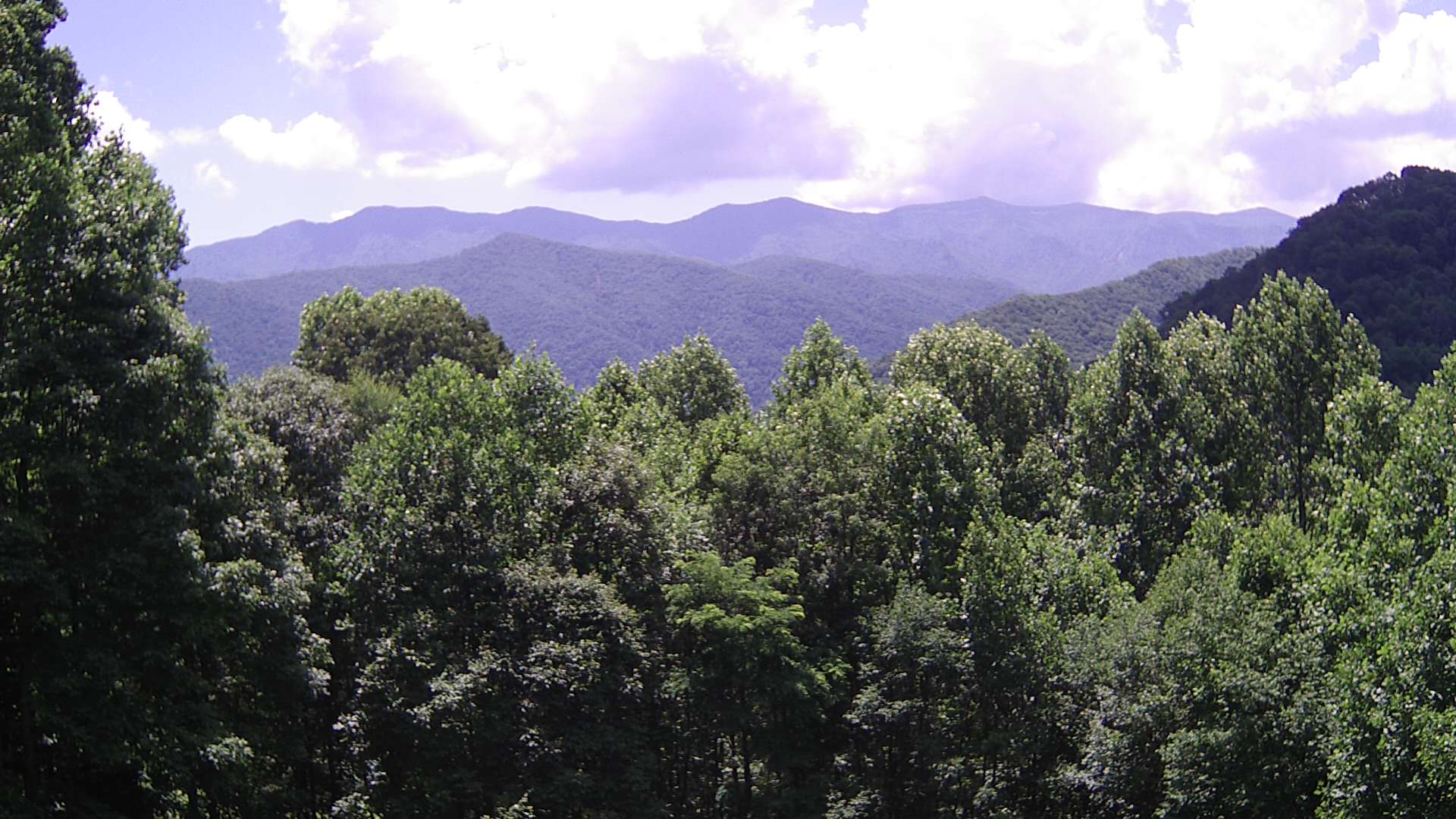 click for next image... slideshow image