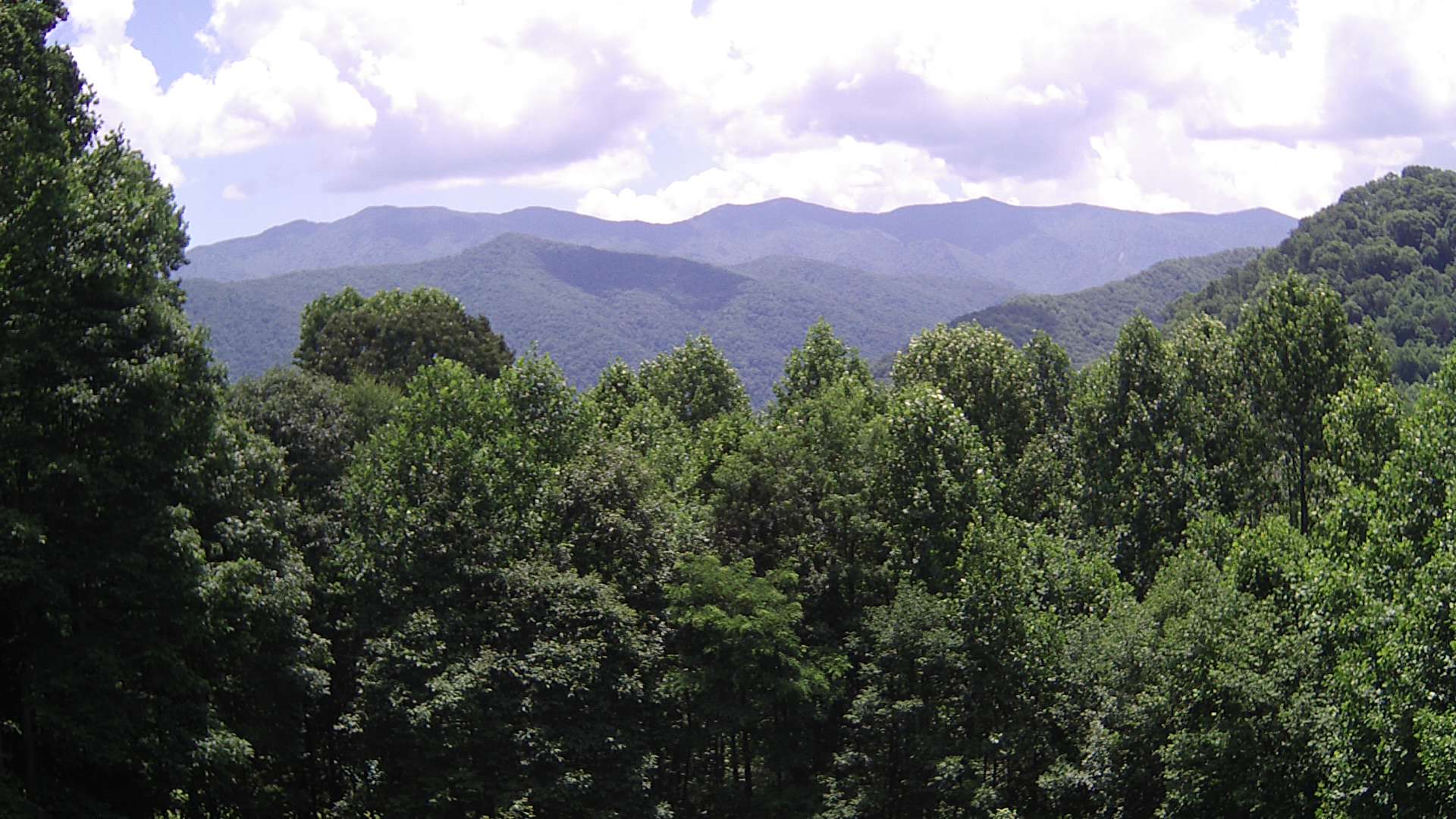 click for next image... slideshow image