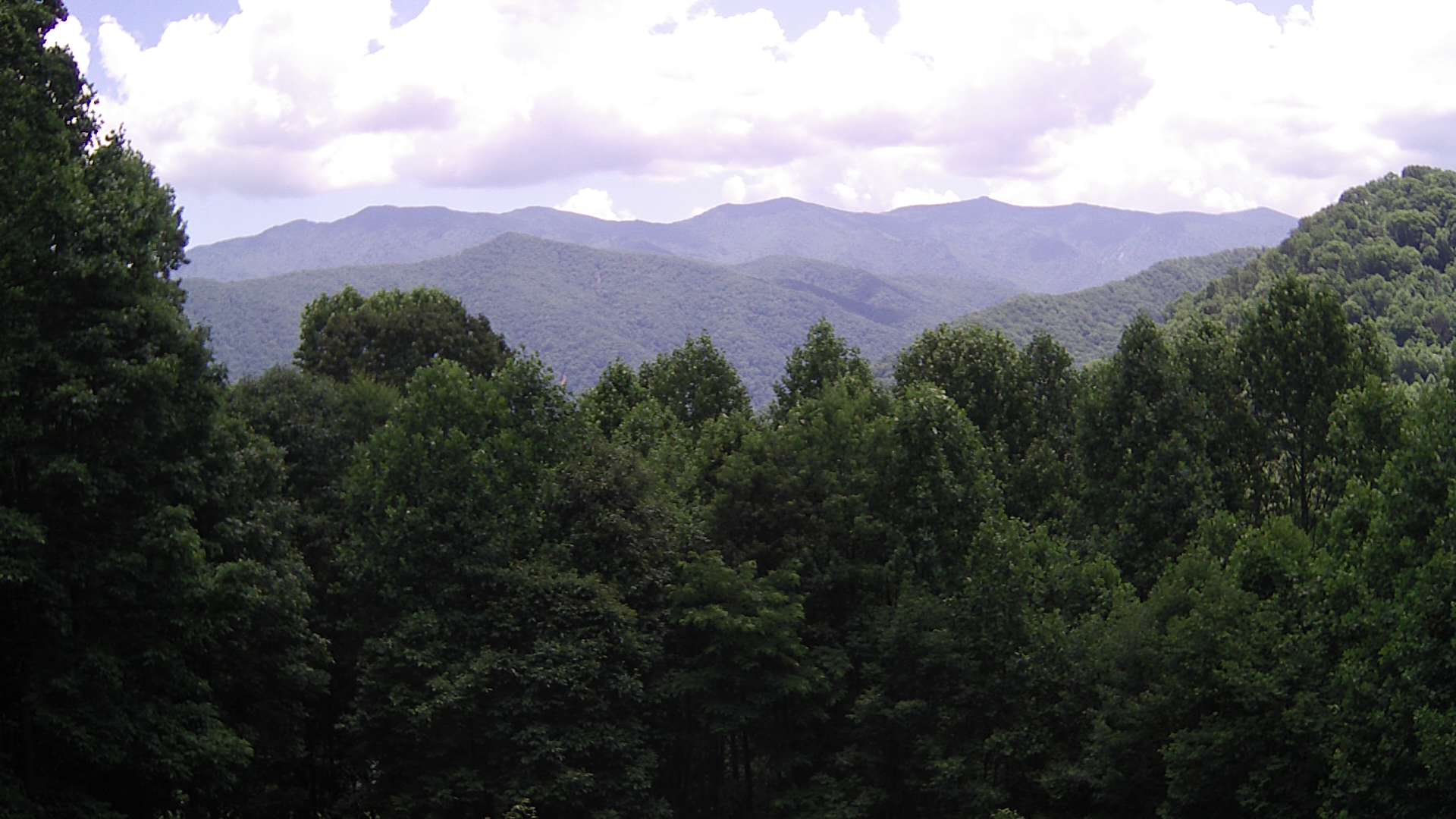 click for next image... slideshow image