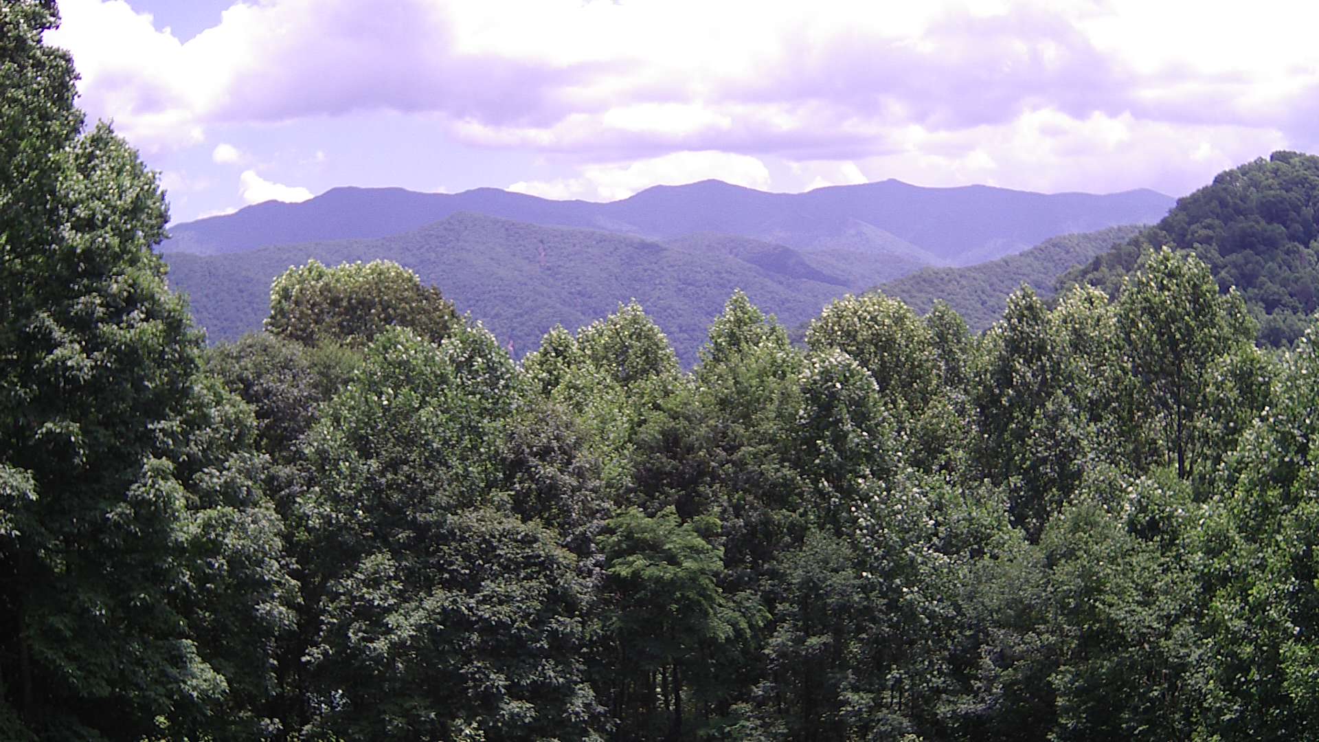 click for next image... slideshow image