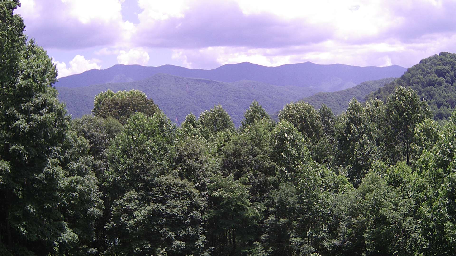 click for next image... slideshow image