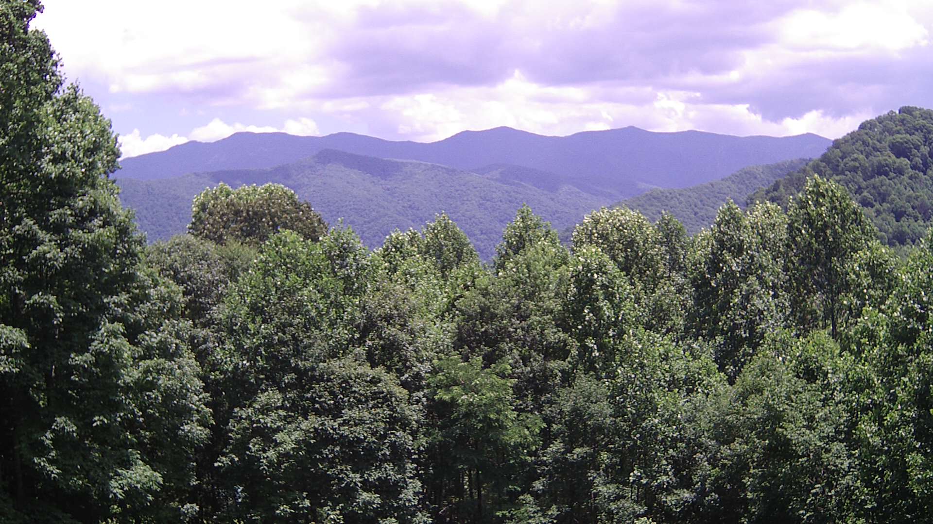 click for next image... slideshow image