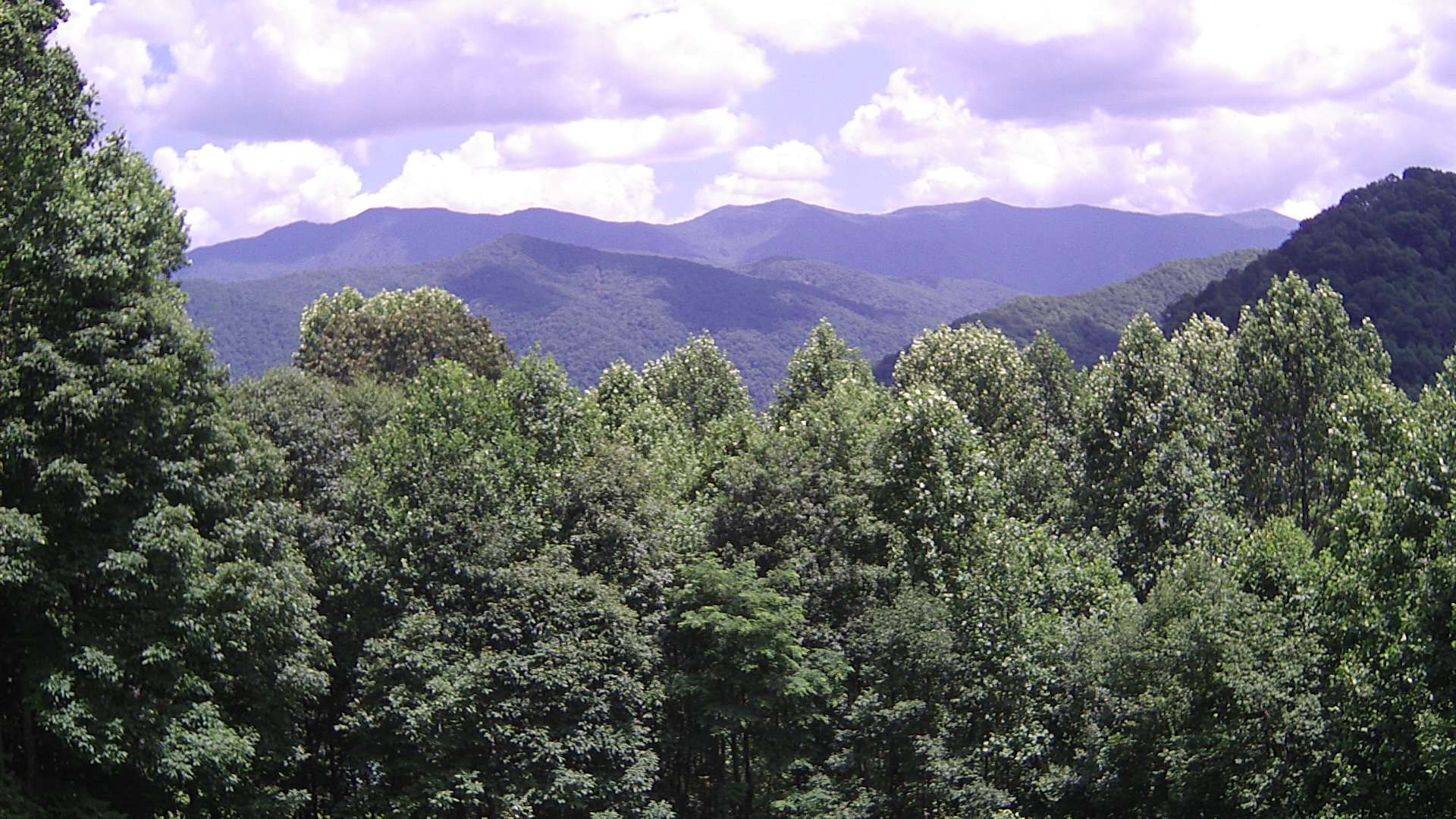 click for next image... slideshow image