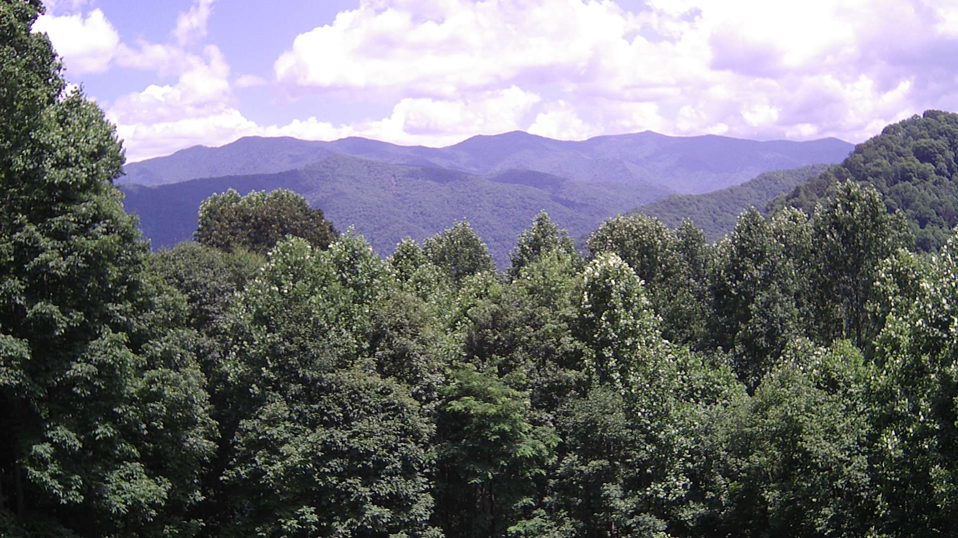 click for next image... slideshow image