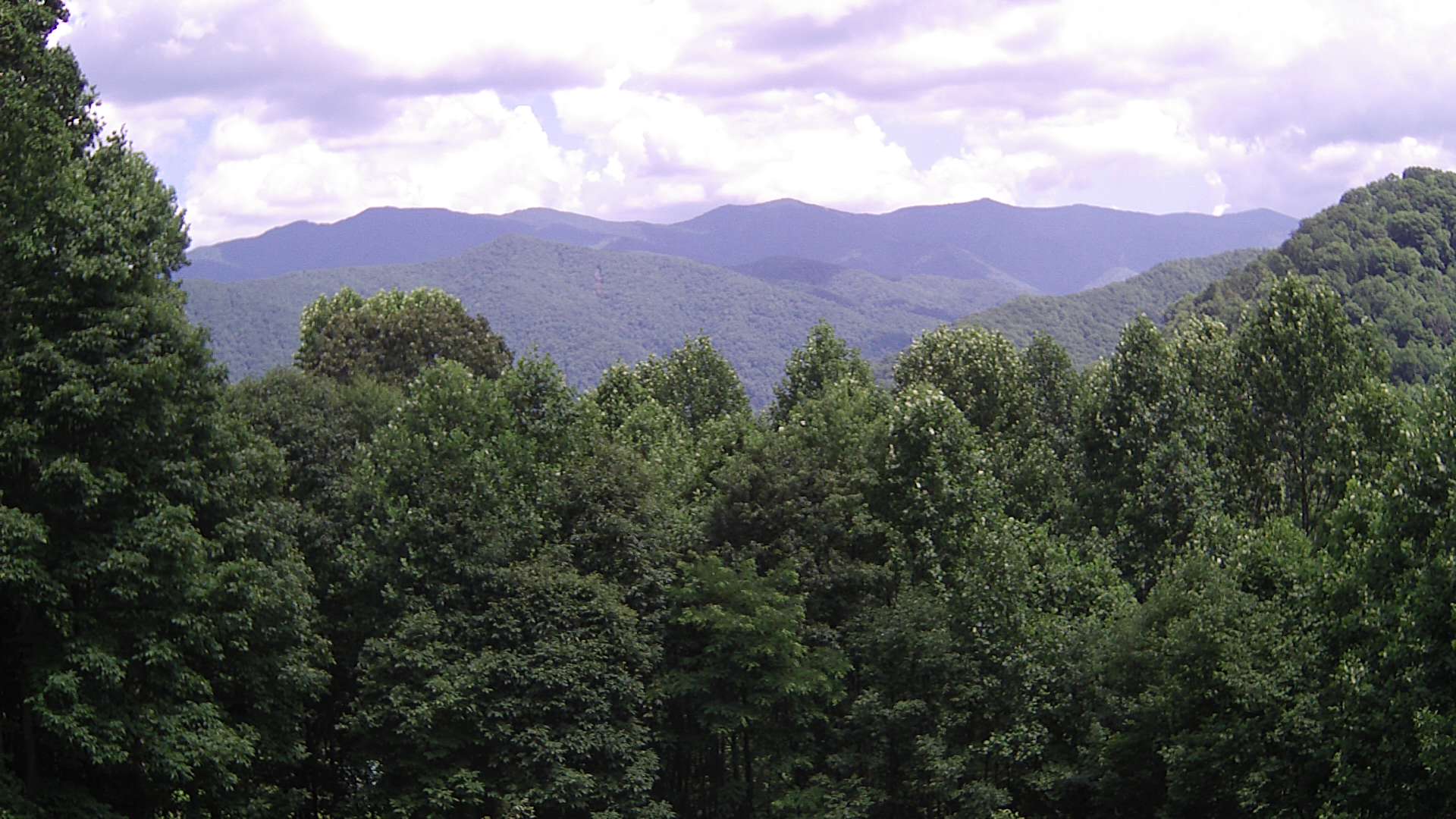 click for next image... slideshow image