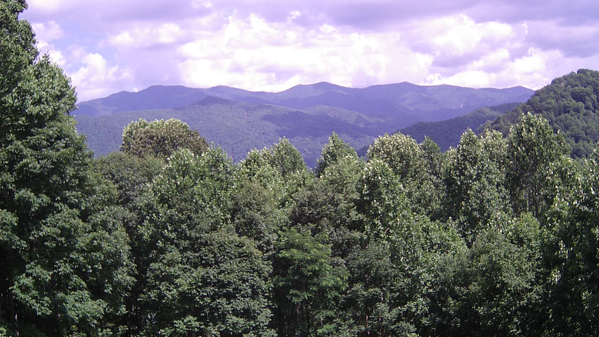 click for next image... slideshow image