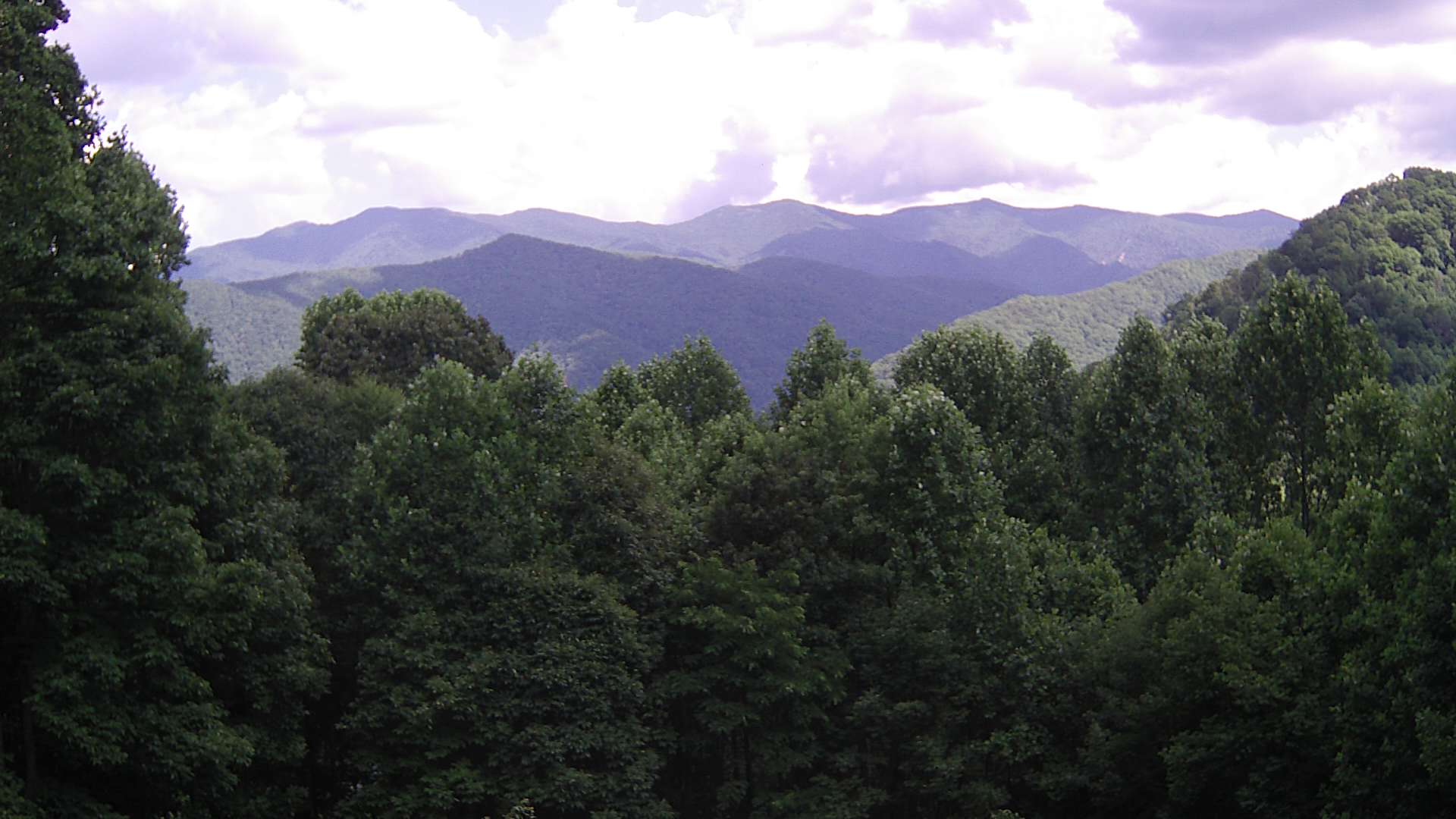 click for next image... slideshow image