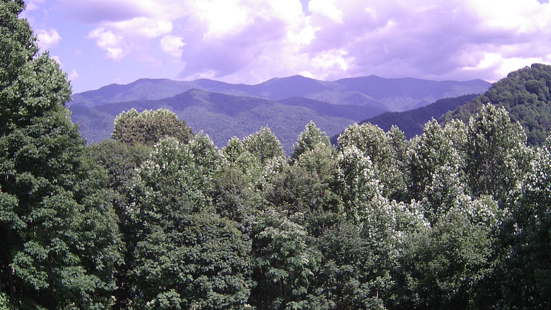 click for next image... slideshow image